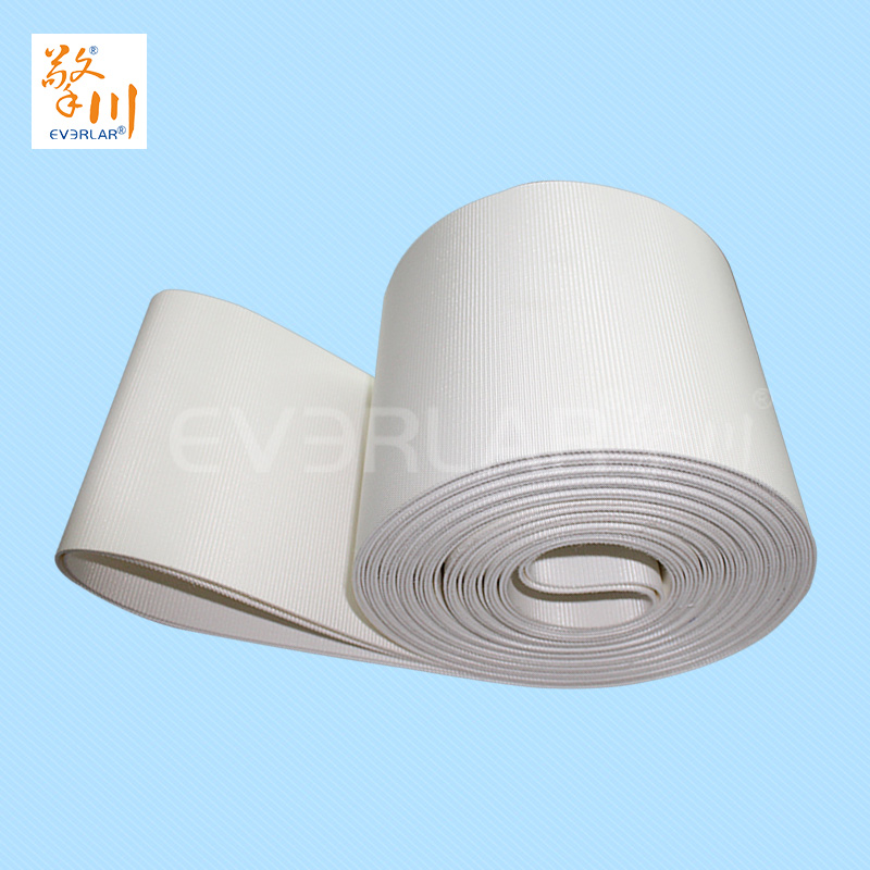 食品皮帶<a href='http://www.m.szfulaite.com/shusongdai/' target='_blank'><u>輸送帶</u></a>
